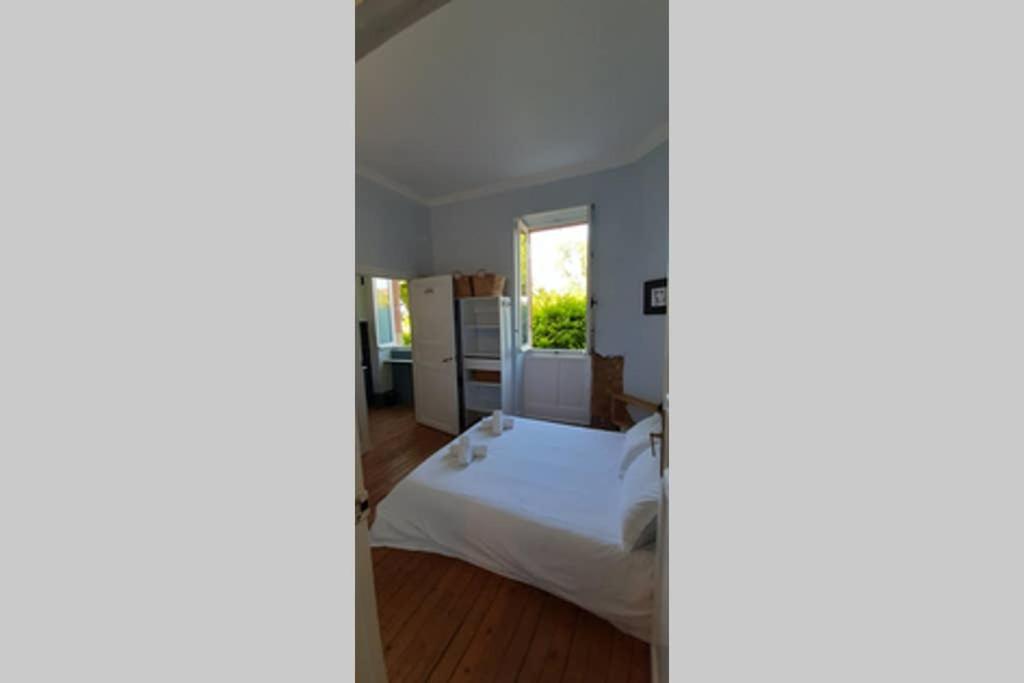 Gardouch Maison Monxanin מראה חיצוני תמונה